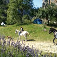 Balades à cheval
